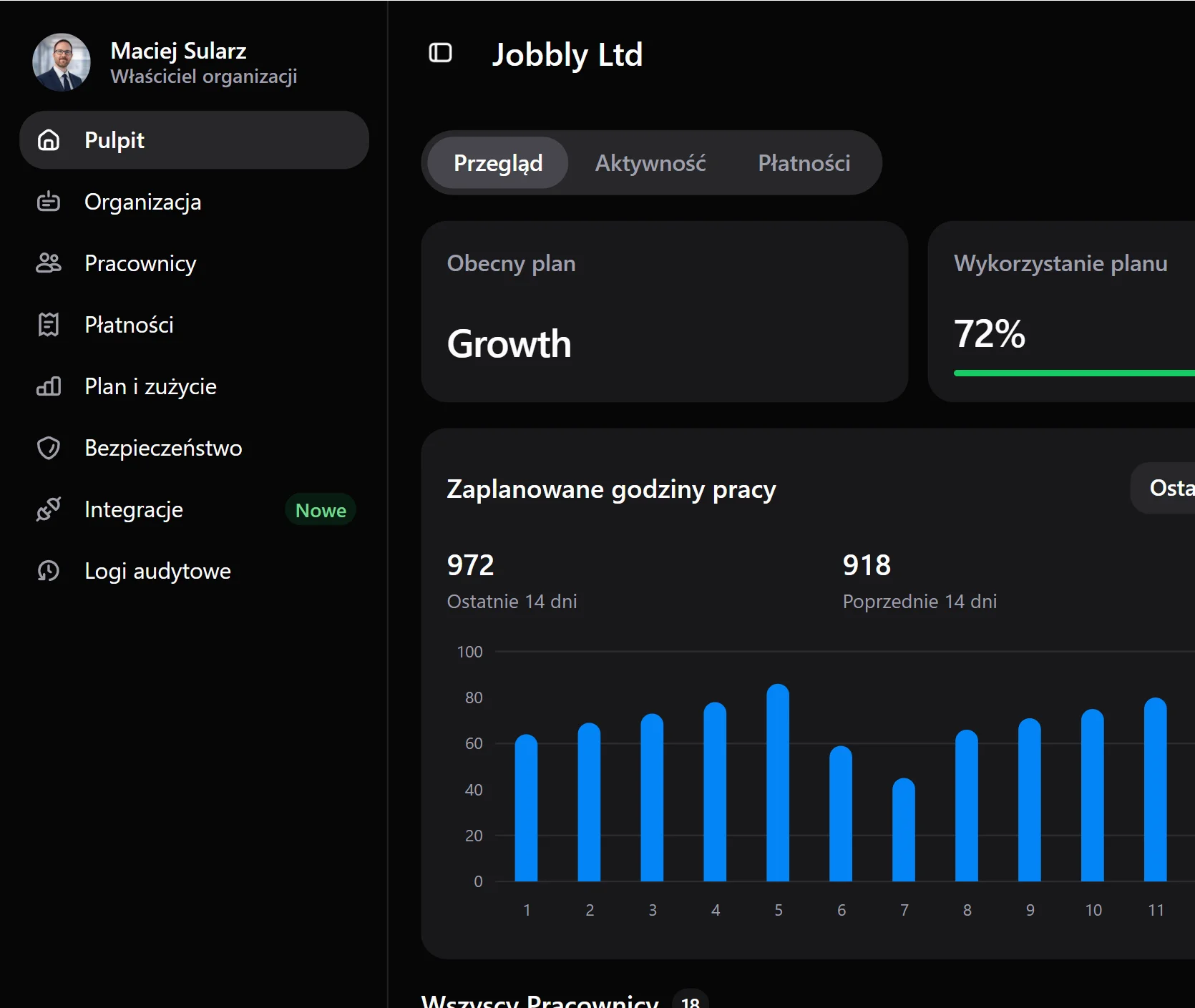 Panel aplikacji Jobbly Account w języku polskim i trybie ciemnym, pokazujący wykorzystanie planu organizacji, limity pracowników, wykorzystanie działów, funkcje administracyjne i rozliczeniowe konta, zaplanowane godziny pracy oraz analitykę przepracowanych godzin.