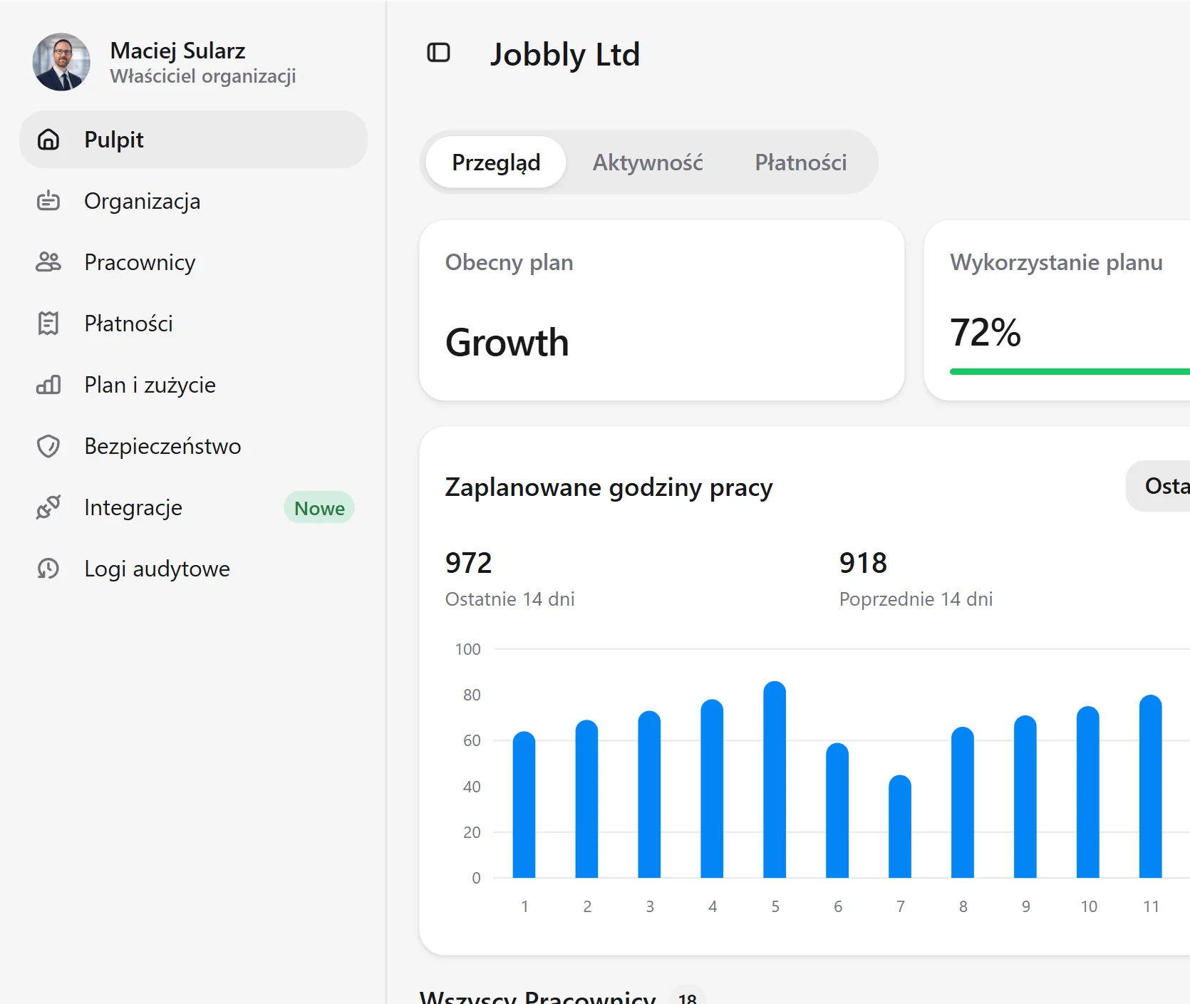 Panel aplikacji Jobbly Account w języku polskim i trybie jasnym, pokazujący wykorzystanie planu organizacji, limity pracowników, wykorzystanie działów, funkcje administracyjne i rozliczeniowe konta, zaplanowane godziny pracy oraz analitykę przepracowanych godzin.