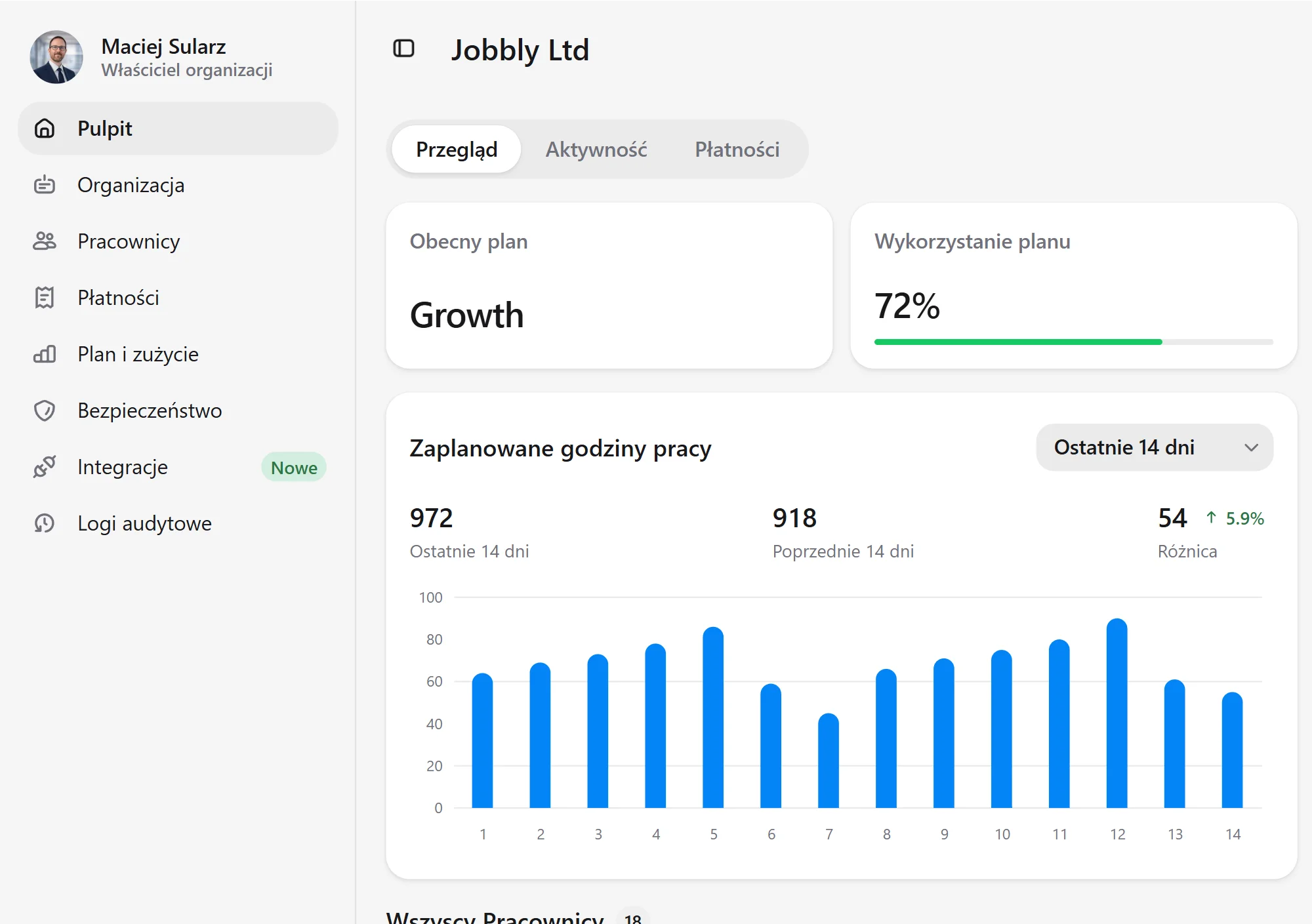 Panel aplikacji Jobbly Account w języku polskim i trybie jasnym, pokazujący wykorzystanie planu organizacji, limity pracowników, wykorzystanie działów, funkcje administracyjne i rozliczeniowe konta, zaplanowane godziny pracy oraz analitykę przepracowanych godzin.